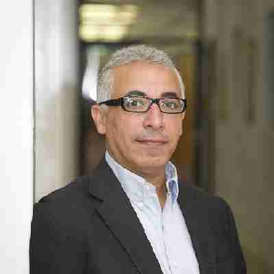 Profile image of Prof Hisham Elkadi