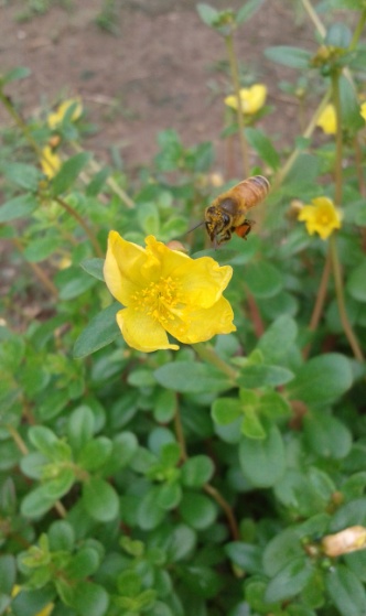 image1.jpeg