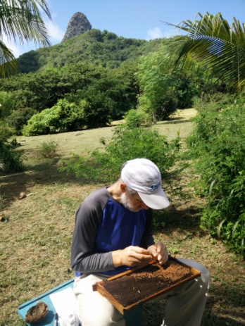image2.jpeg