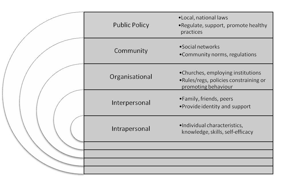 Fig. 2. Socio-ecological model.jpg