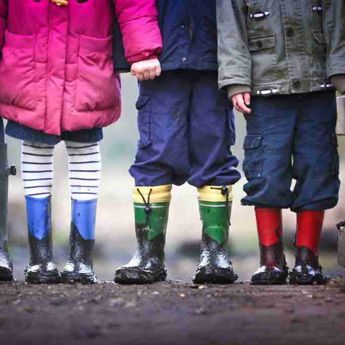 Assessing the acceptability and feasibility of The Animation Curriculum