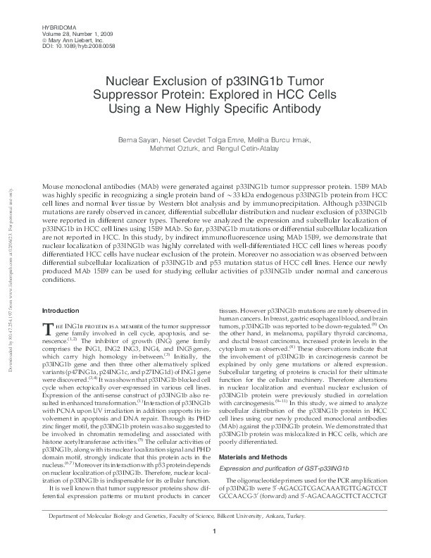 Nuclear exclusion of p33ING1b tumor suppressor protein: explored in HCC cells using a new highly specific antibody Thumbnail