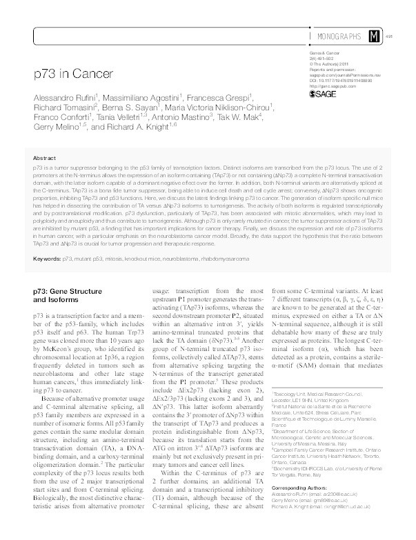 P73 in cancer Thumbnail