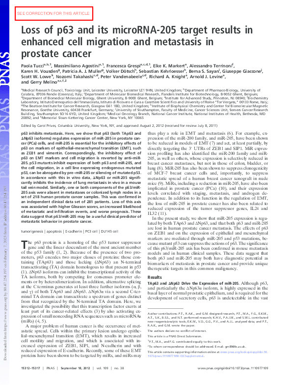 Loss of p63 and its microRNA-205 target results in enhanced cell migration and metastasis in prostate cancer Thumbnail