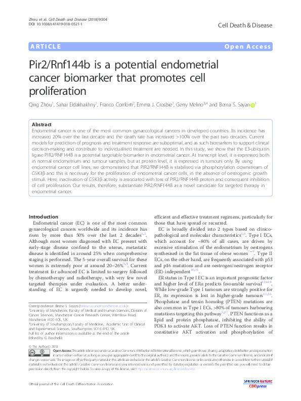 Pir2/Rnf144b is a potential endometrial cancer biomarker that promotes cell proliferation Thumbnail