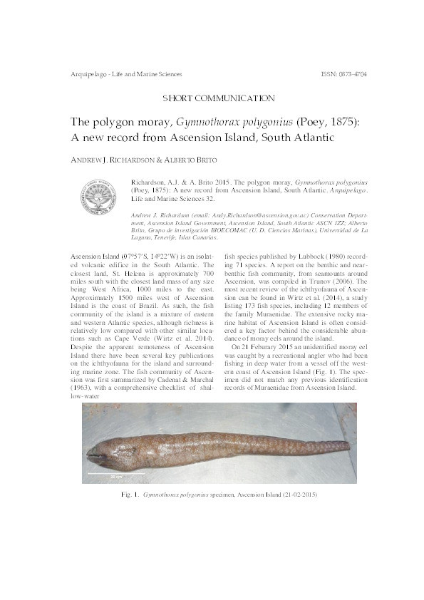 The polygon moray, Gymnothorax polygonius (Poey, 1875): a new record from Ascension Island, South Atlantic Thumbnail