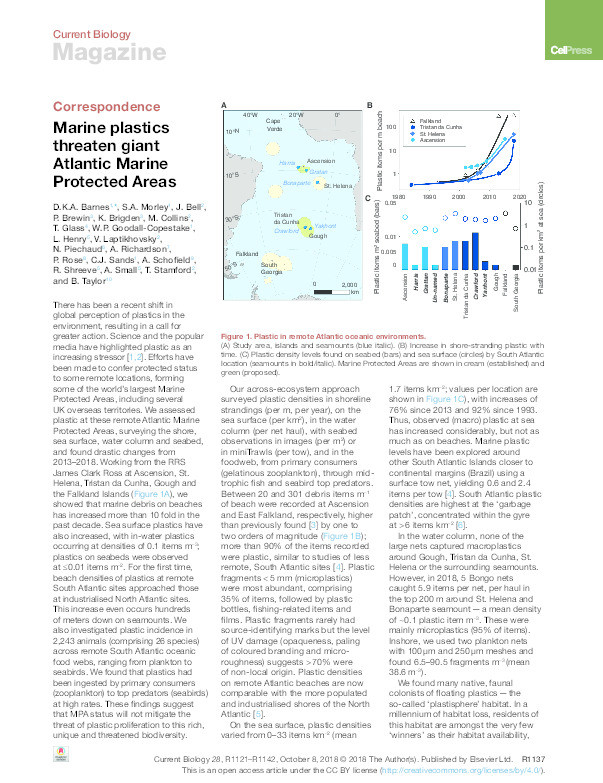 Marine plastics threaten giant Atlantic Marine Protected Areas Thumbnail