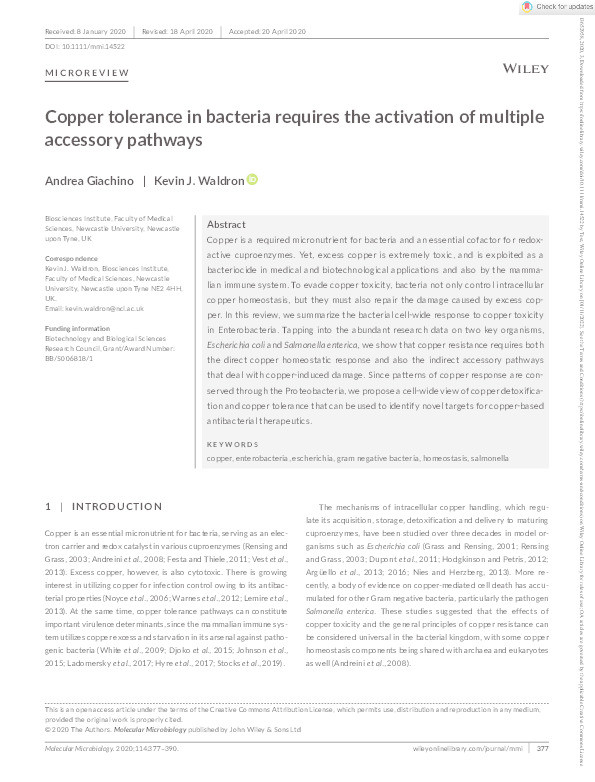 Copper tolerance in bacteria requires the activation of multiple accessory pathways Thumbnail