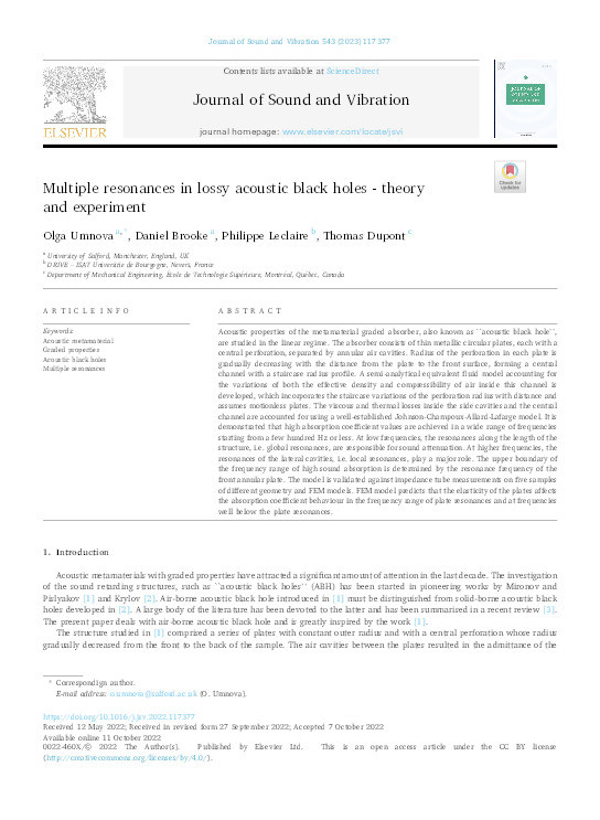 Multiple resonances in lossy acoustic black holes - theory and experiment Thumbnail