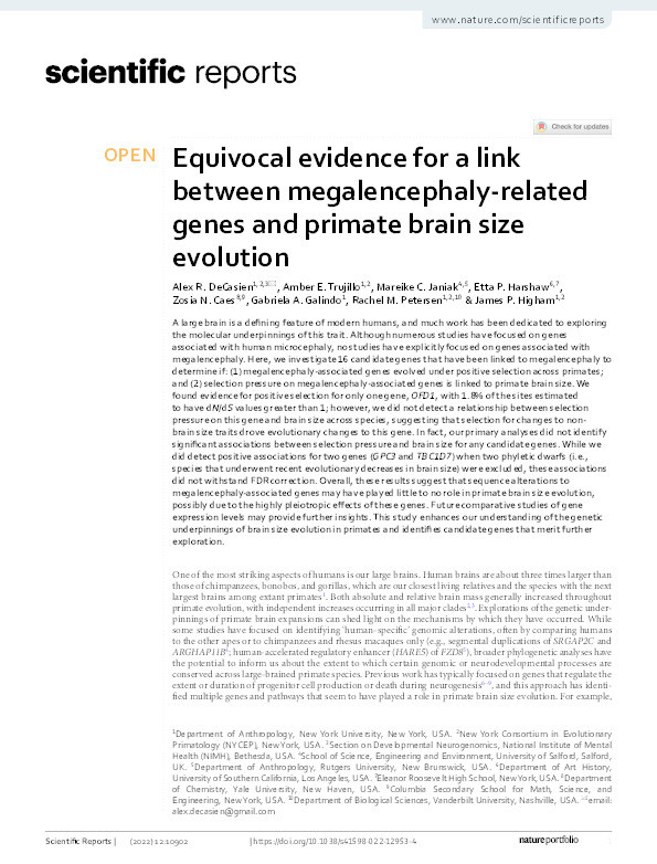 Equivocal evidence for a link between megalencephaly-related genes and primate brain size evolution Thumbnail