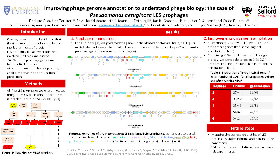 Improving phage genome annotation to understand phage biology: the case of Pseudomonas aeruginosa LES prophages Thumbnail