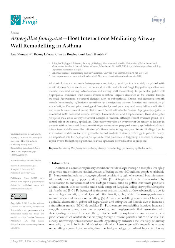 Aspergillus fumigatus —host interactions mediating airway wall remodelling in asthma Thumbnail