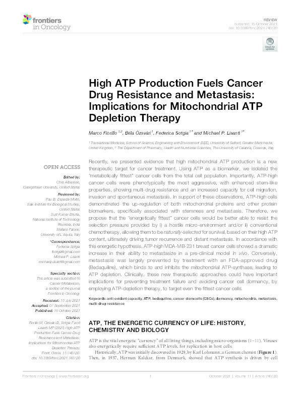 High ATP production fuels cancer drug resistance and metastasis : implications for mitochondrial ATP depletion therapy Thumbnail