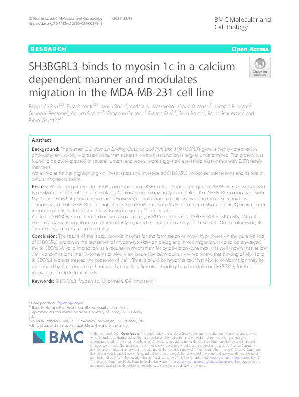 SH3BGRL3 binds to myosin 1c in a calcium dependent manner and modulates migration in the MDA-MB-231 cell line Thumbnail