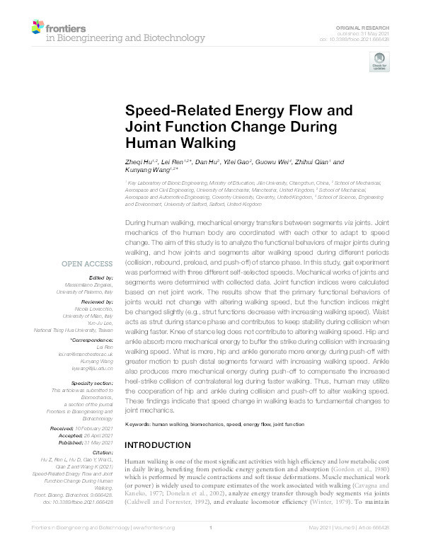 Speed-related energy flow and joint function change during human walking Thumbnail