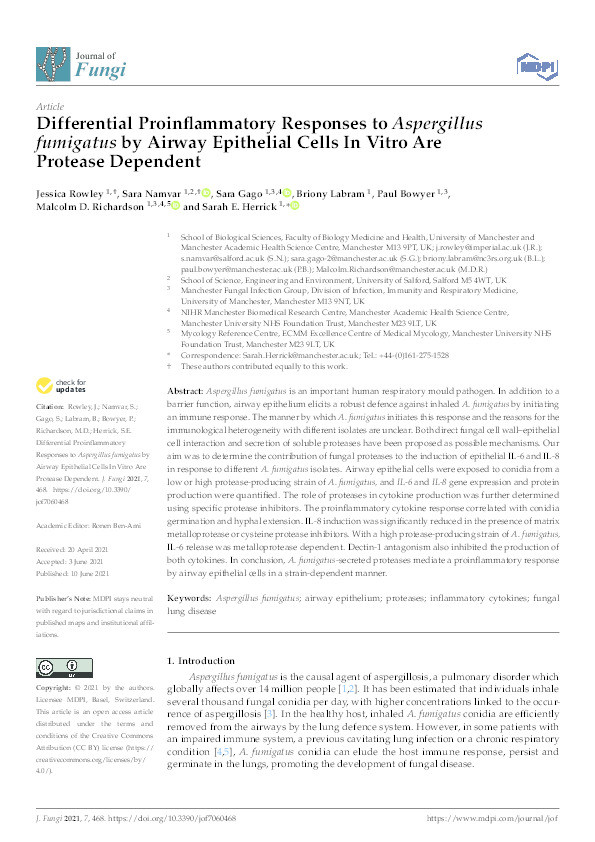 Differential proinflammatory responses to Aspergillus fumigatus by airway epithelial cells in vitro are protease dependent Thumbnail