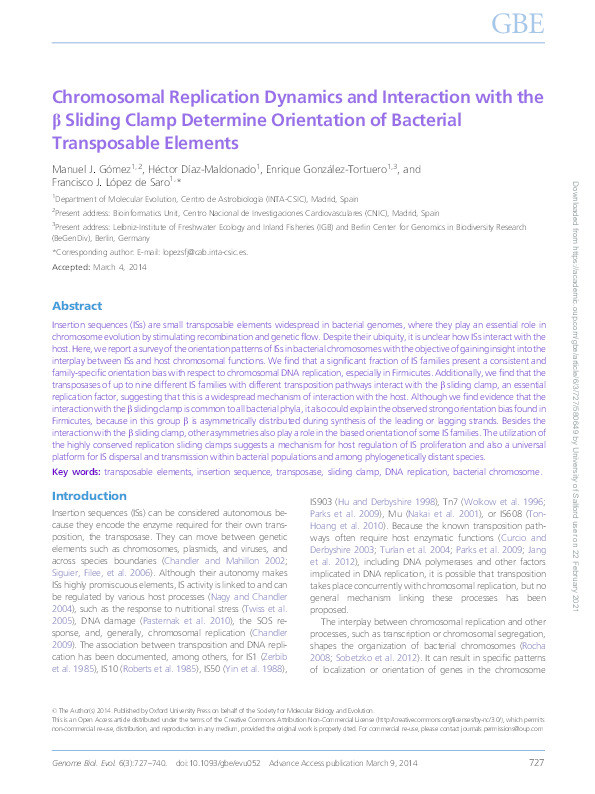 Chromosomal replication dynamics and interaction with the β sliding clamp determine orientation of bacterial transposable elements Thumbnail