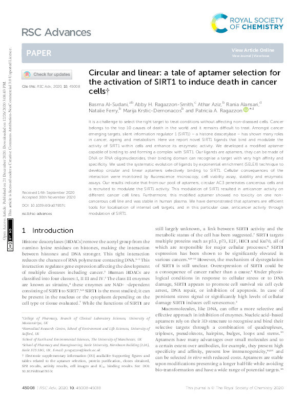 Circular and linear : a tale of aptamer selection for the activation of SIRT1 to induce death in cancer cells Thumbnail