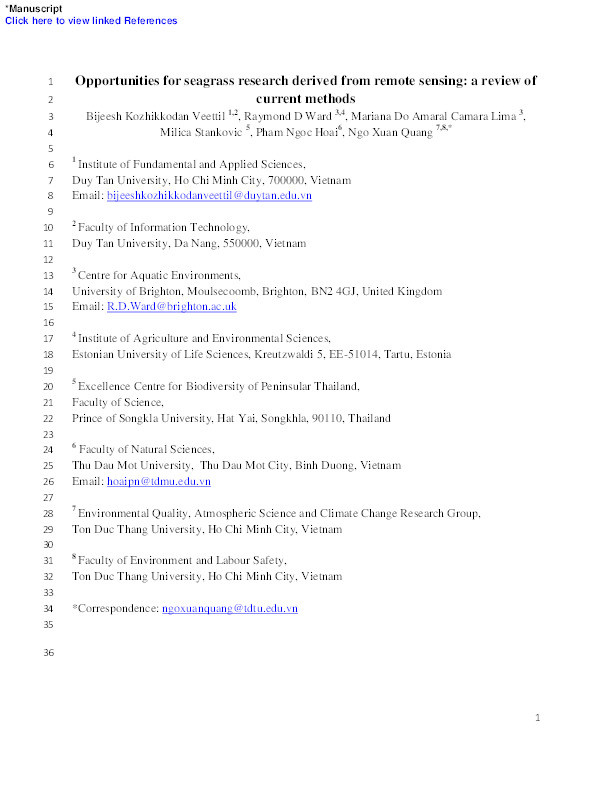 Opportunities for seagrass research derived from remote sensing : a review of current methods Thumbnail