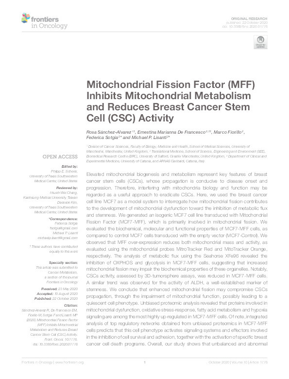 Mitochondrial Fission Factor (MFF) inhibits mitochondrial metabolism and reduces breast cancer stem cell (CSC) activity Thumbnail