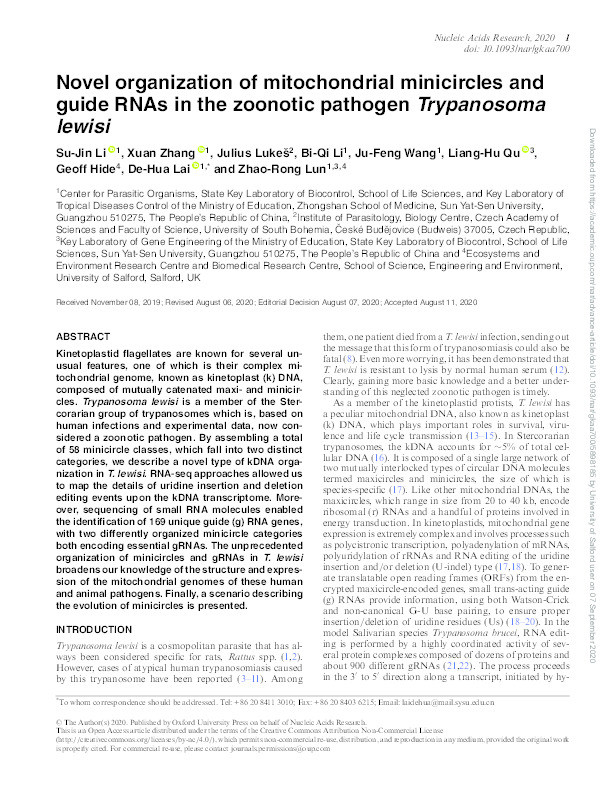 Novel organization of mitochondrial minicircles and guide RNAs in the zoonotic pathogen Trypanosoma lewisi Thumbnail