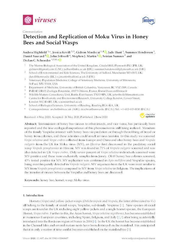 Detection of Moku virus and replication in honey bees and social wasps Thumbnail
