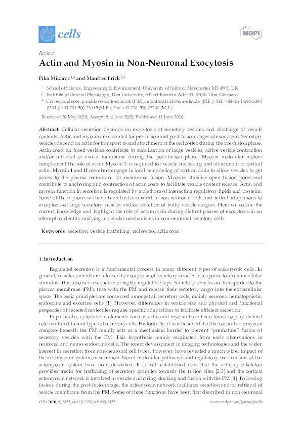 Actin and myosin in non-neuronal exocytosis Thumbnail