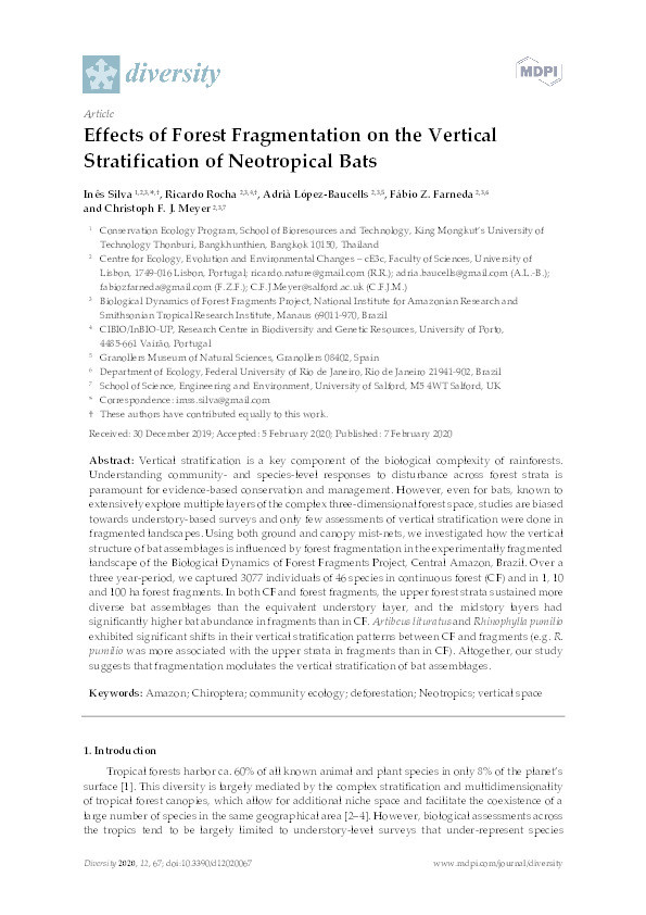Effects of forest fragmentation on the vertical stratification of neotropical bats Thumbnail