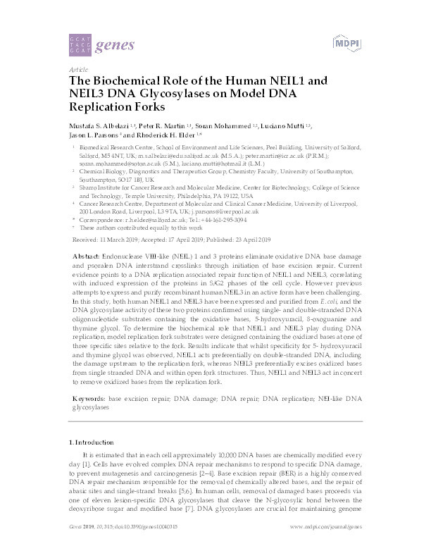The biochemical role of the human NEIL1 and NEIL3 DNA glycosylases on model DNA replication forks Thumbnail