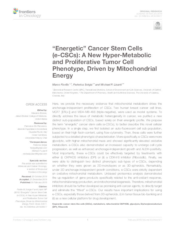 “Energetic” cancer stem cells (e-CSCs) : a new hyper-metabolic and proliferative tumor cell phenotype, driven by mitochondrial energy Thumbnail