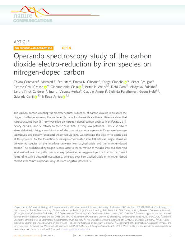 Operando spectroscopy study of the carbon dioxide electro-reduction by iron species on nitrogen-doped carbon Thumbnail
