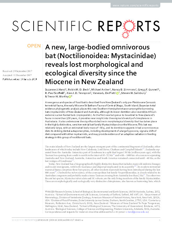 A new, large-bodied omnivorous bat (Noctilionoidea: Mystacinidae) reveals lost morphological and ecological diversity since the Miocene in New Zealand Thumbnail