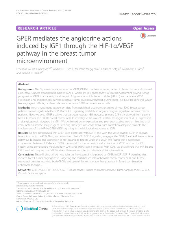 GPER mediates the angiocrine actions induced by IGF1 through the HIF-1α/VEGF pathway in the breast tumor microenvironment Thumbnail