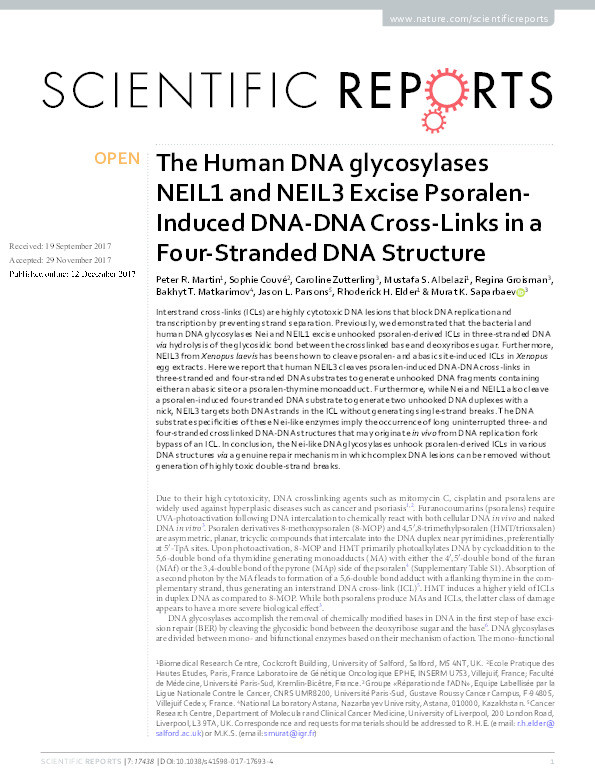 The human DNA glycosylases NEIL1 and NEIL3 excise psoralen-induced DNA-DNA cross-links in a four-stranded DNA structure Thumbnail