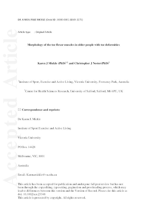 Morphology of the toe flexor muscles in older people with toe deformities Thumbnail