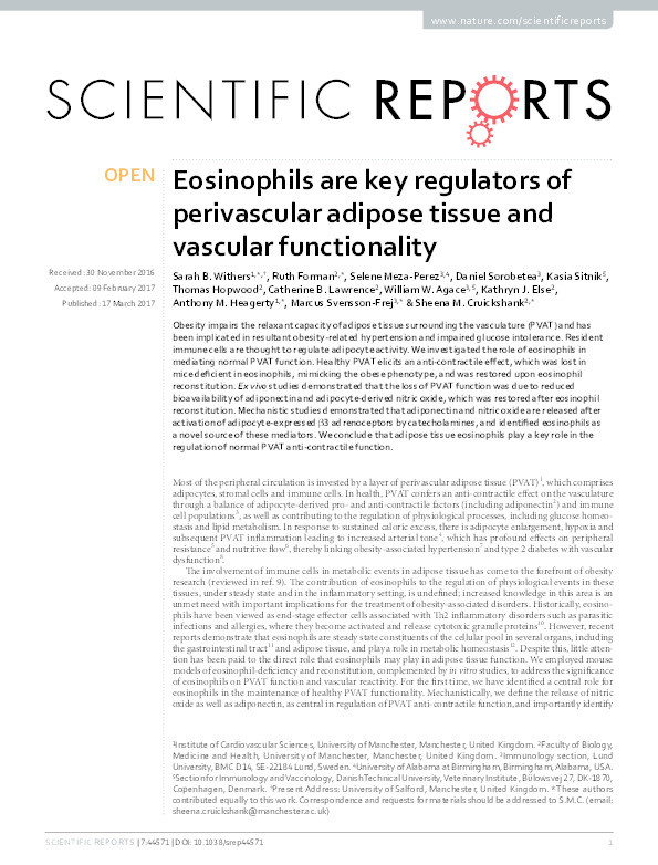 Eosinophils are key regulators of
perivascular adipose tissue and
vascular functionality Thumbnail