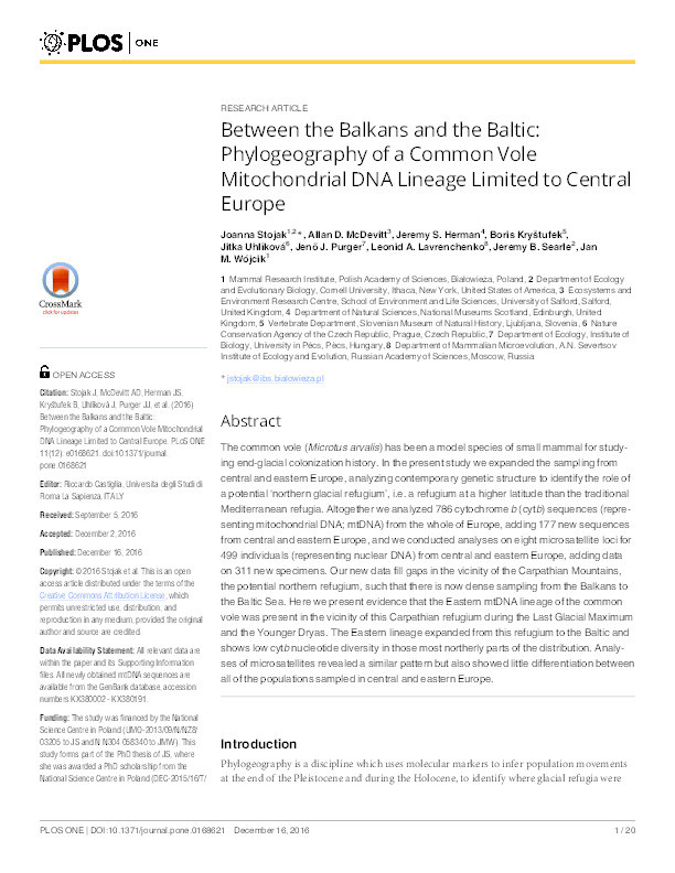 Between the Balkans and the Baltic : phylogeography of a common vole mitochondrial DNA lineage limited to Central Europe Thumbnail