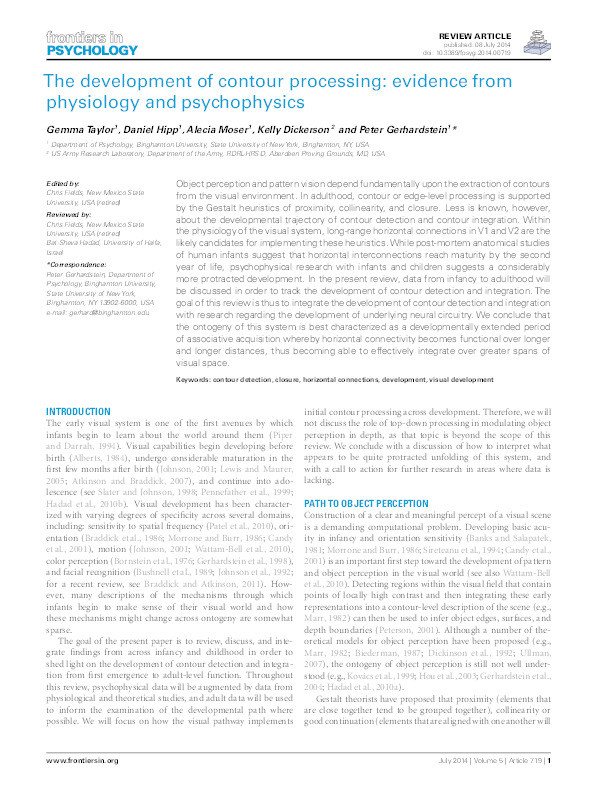 The development of contour processing : evidence from physiology and psychophysics Thumbnail