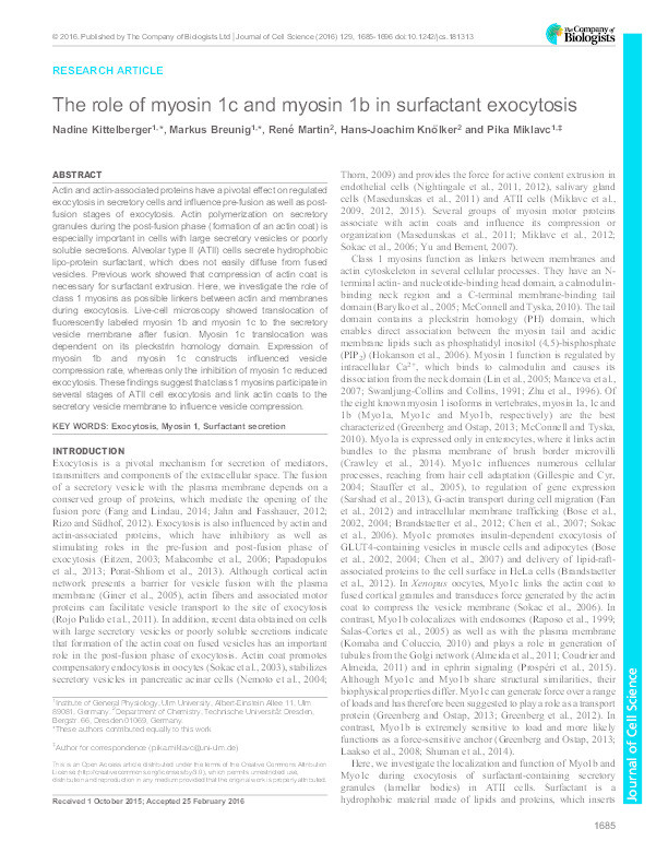 The role of myosin 1c and myosin 1b in surfactant exocytosis Thumbnail