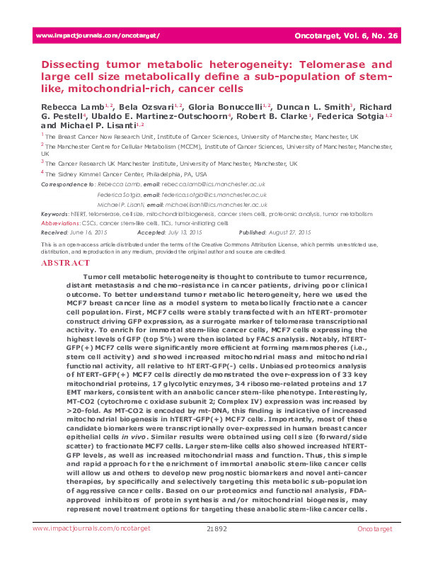 Dissecting tumor metabolic heterogeneity : Telomerase and large cell size metabolically define a sub-population of stem-like, mitochondrial-rich, cancer cells Thumbnail