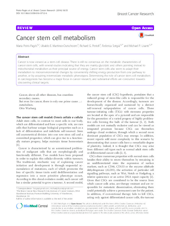 Cancer stem cell metabolism Thumbnail