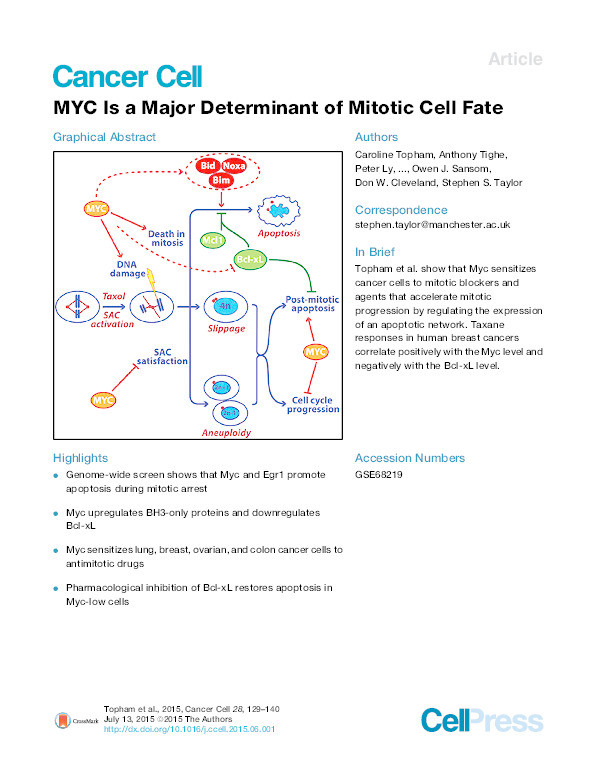 MYC is a major determinant of mitotic cell fate Thumbnail