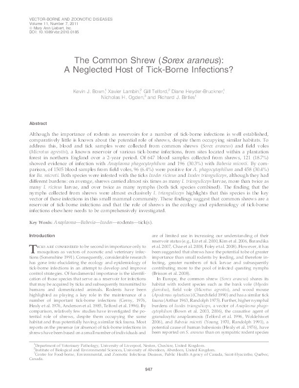 The Common Shrew (Sorex araneus): A neglected host of tick-borne infections? Thumbnail