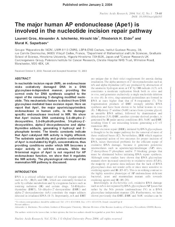 The major human AP endonuclease (Ape1) is involved in the nucleotide incision repair pathway Thumbnail