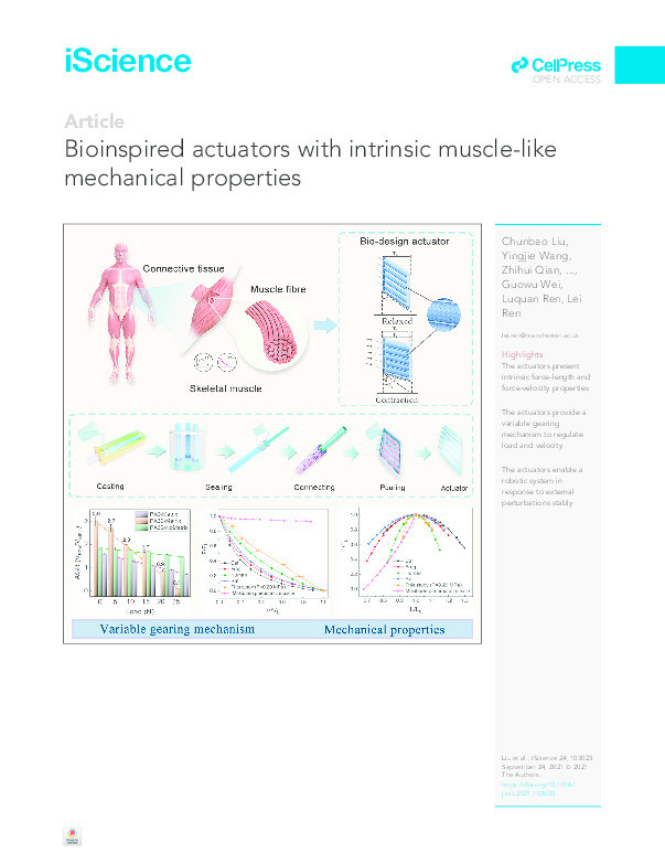 Bioinspired actuators with intrinsic muscle-like mechanical properties Thumbnail