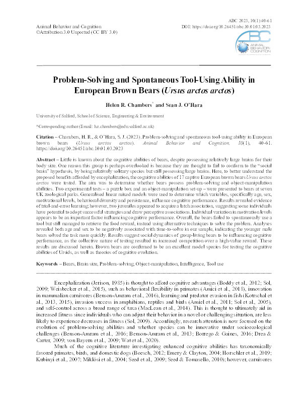 Problem-solving and spontaneous tool-using ability in European Brown Bears (Ursus arctos arctos) Thumbnail