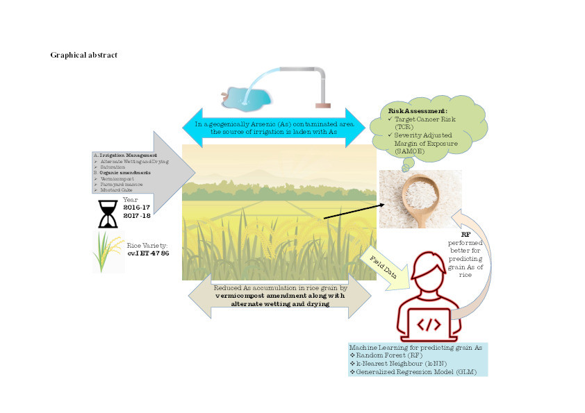 Deficit irrigation and organic amendments can reduce dietary arsenic risk from rice : introducing machine learning-based prediction models from field data Thumbnail