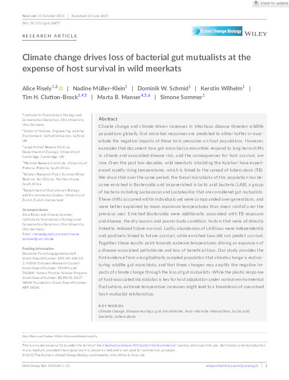 Climate change drives loss of bacterial gut mutualists at the expense of host survival in wild meerkats Thumbnail