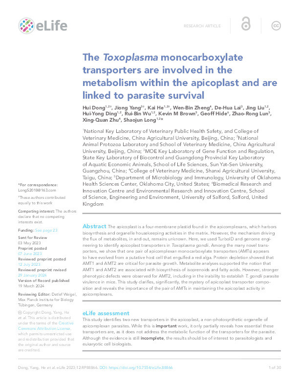 The Toxoplasma monocarboxylate transporters are involved in the metabolism within the apicoplast and are linked to parasite survival Thumbnail