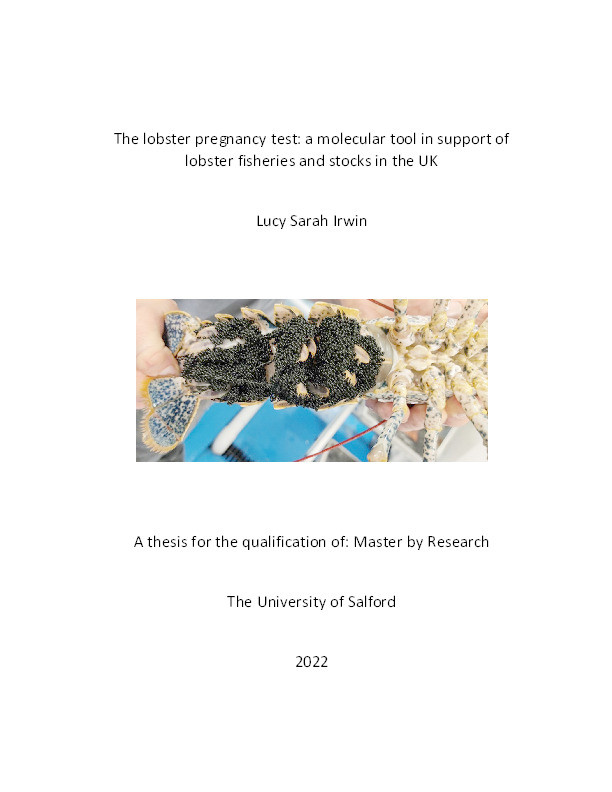 The Lobster Pregnancy Test:  A Molecular Tool In Support Of Lobster Stocks And Fisheries In The UK Thumbnail
